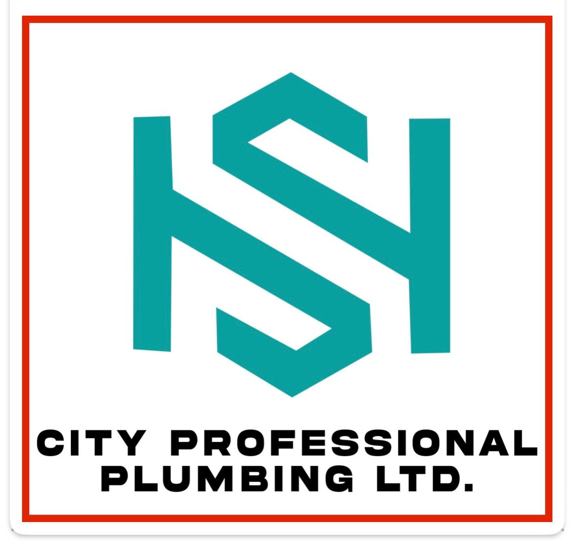 City Professional Plumbing logo